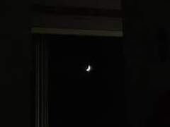 [피터토니] 모든것은 그 자리에