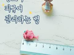 왕꼬마 피규어 관리법