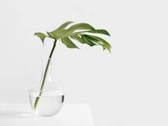 [루시산] Stay with Me 2