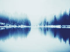 쉬어가는 이야기