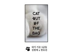[현제유진] Cat out of the bag