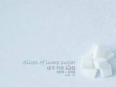 각설탕 조각 - 프롤로그