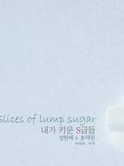 현제태원-각설탕 조각