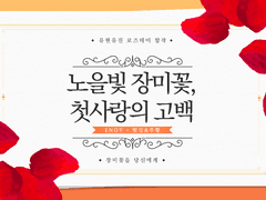 주황장미 :: 노을빛 장미꽃, 첫사랑의 고백 (w. ENOV)