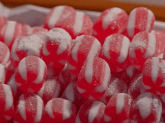 마음의 봄: 5. 재회