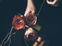 [라일마샤] 최초의 애도