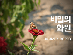 [히후도] 비밀의 화원