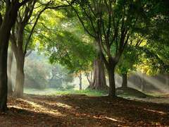 그림자가 말하네