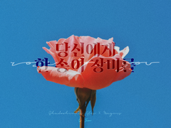 당신에게 한 송이 장미를