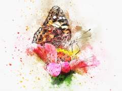 [무휼이도] 꿈속의 나비