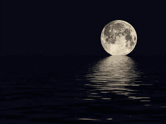 [관우유비] 그의 마음은