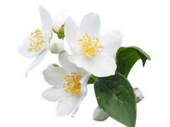 Louis 루이스|27|M|#B22222