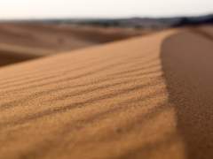 [왕은 웃었다/왕웃]남겨진 자들의 묘