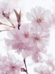 이 새벽이 지나면