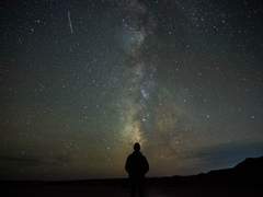 [토니피터] 귀환