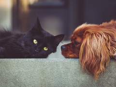 [릭민] 민우야, 나는 네 눈이 맘에 안 들어.