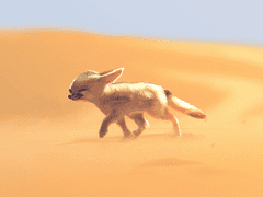 소꿉친구가 자꾸 플래그를 세워서 곤란해!