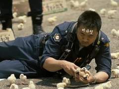 [세슈백민세] 몸짱러버²·³ 재발행 알림