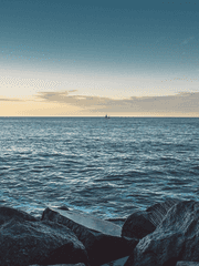 상실의 계절 (完)