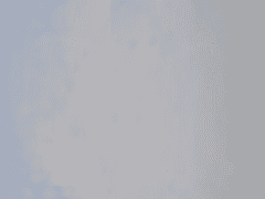 5. 고독의 기록 (1)