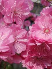 [마블/어벤져스] the fifth season(다섯번째 계절)