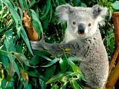 어느 날의 담배, 아이스 커피, 그리고 통화(下)