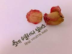 그 둘은, 다르지