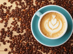 리틀 프린스에 어서오세요 中