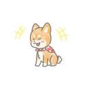 맥시미막시무S🐕