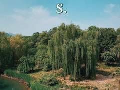 너의 디스토피아