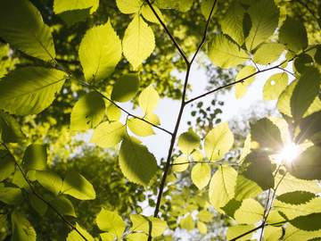 [카케타이] 그 교실에서는