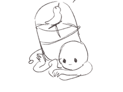 워슈아와 작은 새