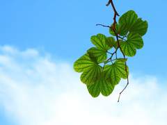 [아이리월] 우리, 친구 맞지?