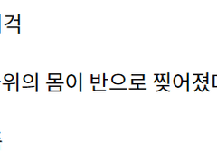 [언더테일 전력 60분]몰살루트