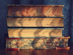 담나르 헤튁 알펜하우어의 불행과 진심의 정의