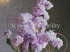 [찬백]Absolute Fidelity