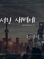 전지적 독자 시점