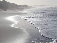 [중혁독자] 들개와 소년 1