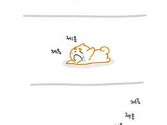 180823 시바견은 제옹제옹 울지