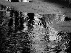 [말렉/알렉매그] Singing in the Rain