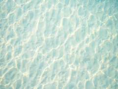 잿더미에서 피어난 것은