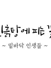 진흙탕에 피는 꽃 ~ 밑바닥 인생들 ~