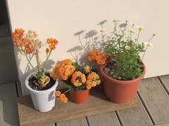 당신이 없는 사이