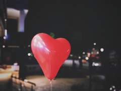 이곳에 너와 나는 없어