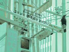 [모가레이] 그가 날자 까마귀가 떨어졌다 (1)