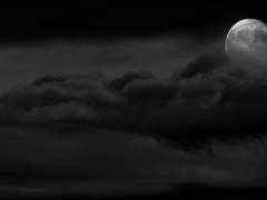 라얀유메 - 안아줘