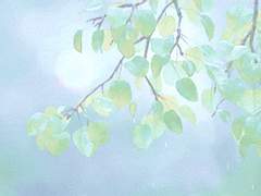 [유키리사] 사랑은 서로 같은 곳을 바라보는 것