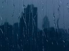 나비가 되어보지 않겠습니까