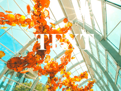 [쿠라사와] 이상적인 가족에 대해서