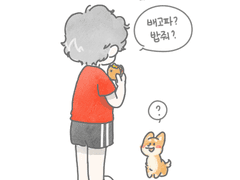 배고파? 밥줘?